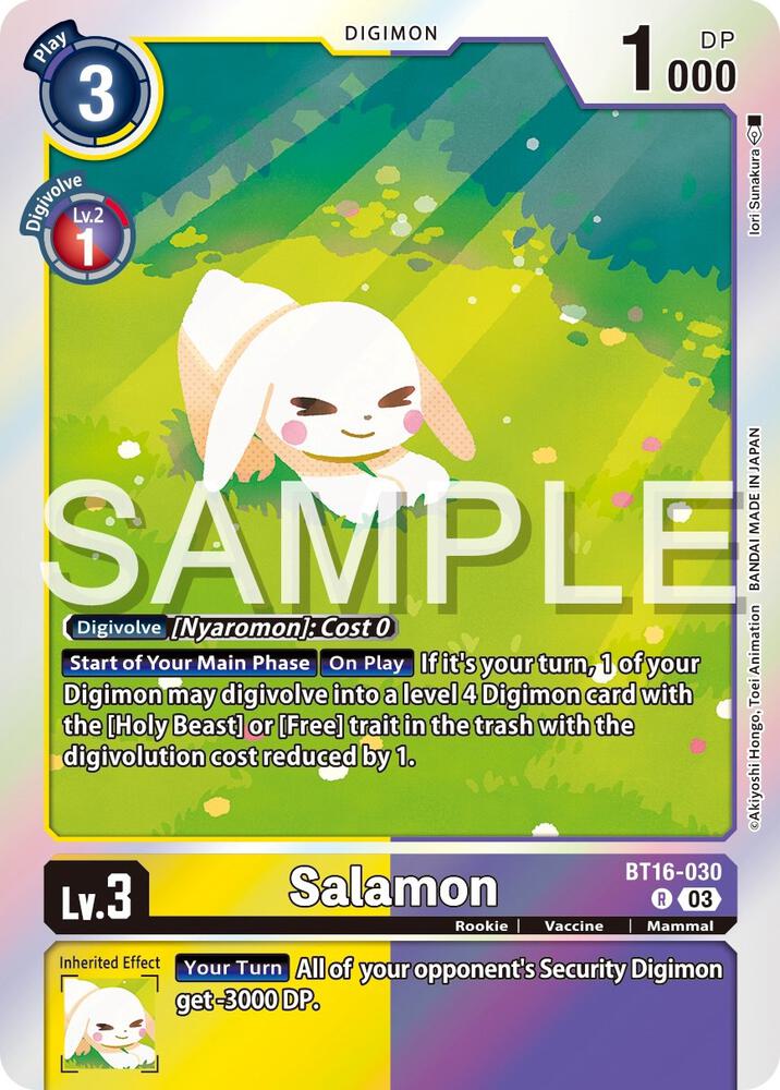 Salamon - Beginning Observer (BT16)