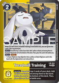 Treadmill Training - Limited Card Pack -Another Knight- (LM-07)
